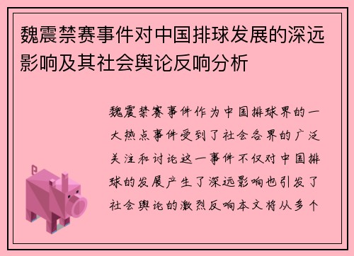 魏震禁赛事件对中国排球发展的深远影响及其社会舆论反响分析