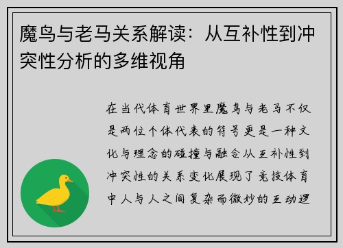 魔鸟与老马关系解读：从互补性到冲突性分析的多维视角